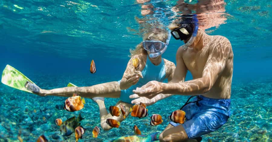 Bali: Watching Dolphin, Swimming & Snorkeling Tour - Snorkeling after the dolphins: reef time that feels like a bonus