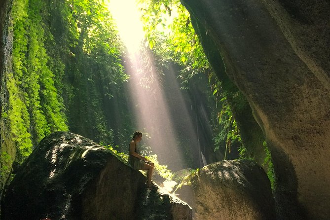 Bali Waterfalls and Temples Tour - Stop 1, Temesi Waterfall: start in rainforest mode