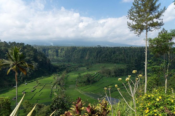 Bali Waterfalls and Temples Tour - Stop 5, Besakih Temple: Bali’s biggest temple complex