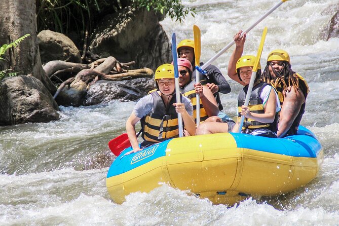 Bali White Water Rafting Adventure at Ayung River Bali - Who this rafting trip suits best (and who should think twice)