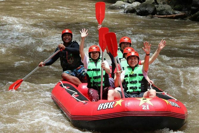 Bali White Water Rafting - Infinity - Key highlights worth your attention