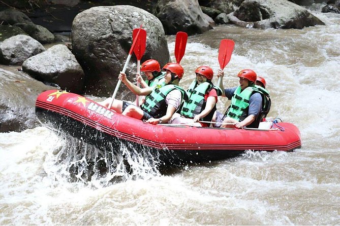 Bali White Water Rafting - Infinity - The guides: humor, control, and why you want a good captain