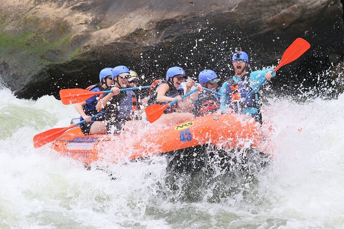 Bali White Water Rafting with No Steep Access - Jungle views and buffet lunch: what you get after paddling