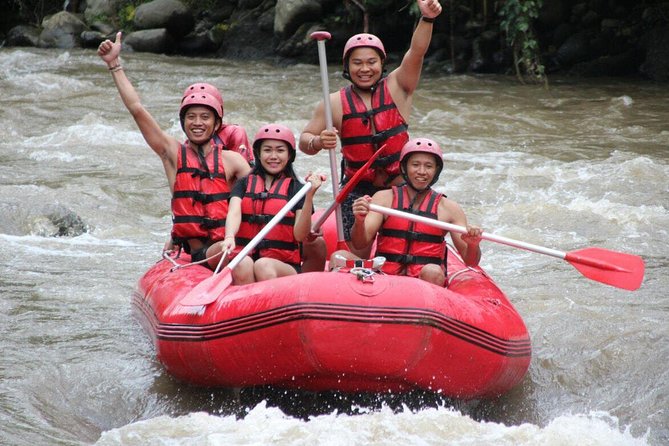 Bali White Water Rafting with No Steep Access - Meeting point in Abiansemal, plus pickup options that change your day