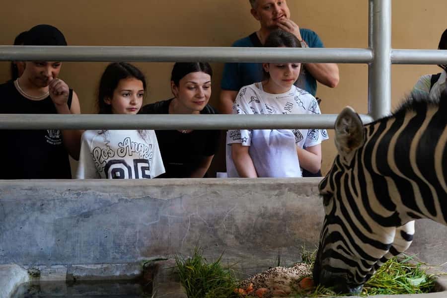 Bali Zoo: Behind Closed Doors Afternoon Safari Guided Tour - Getting oriented at Bali Zoo before dusk
