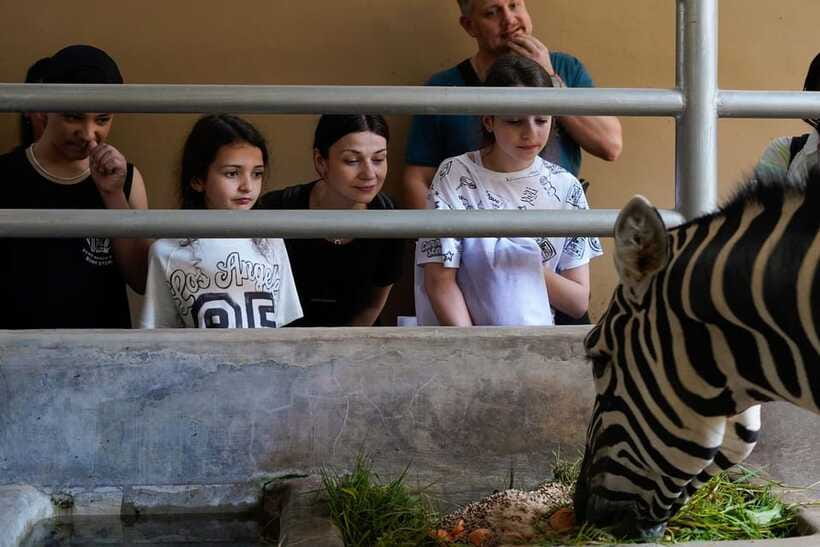 Bali Zoo: Behind Closed Doors Afternoon Safari Guided Tour - What you eat and drink during the safari, and why it helps