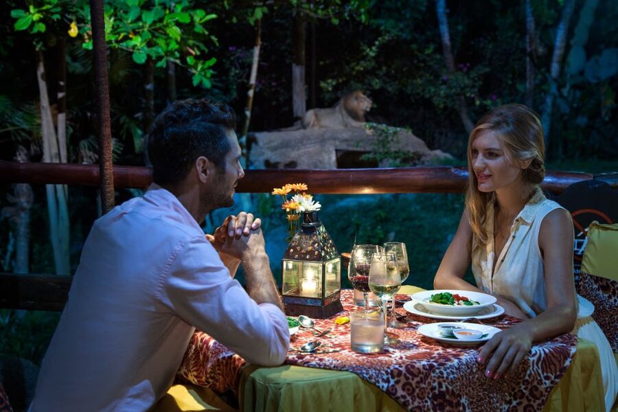 Bali Zoo Entrance Ticket - Orangutan breakfast observation, what makes it special and what to expect