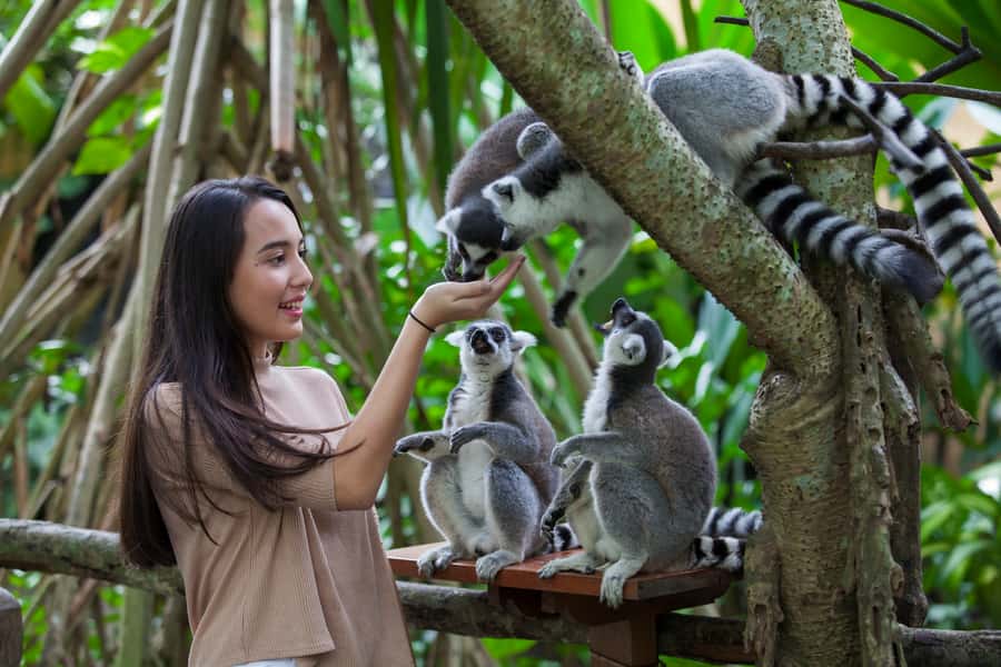 Bali Zoo Entrance Ticket - The grounds, tropical gardens, and animals you can actually track