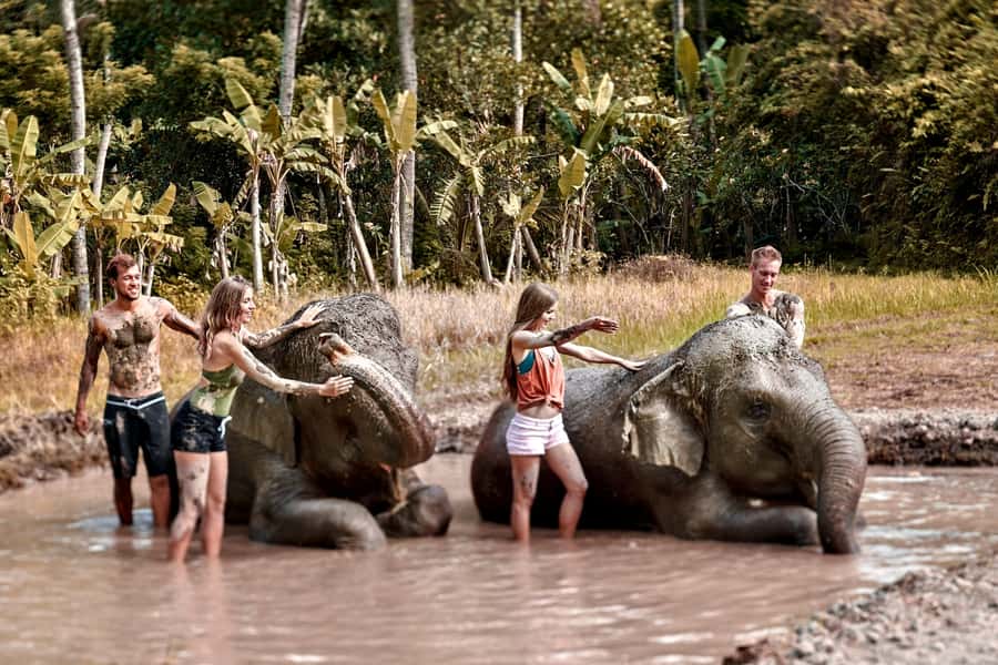 Bali Zoo: Guided Ethical Elephant Care Experience - Key highlights at Bali Zoo’s ethical elephant program