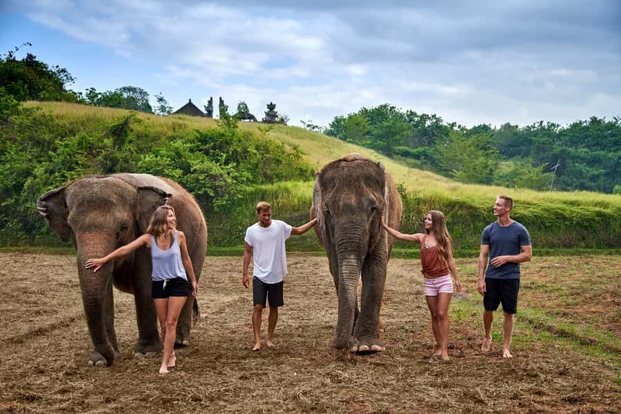 Bali Zoo: Guided Ethical Elephant Care Experience - Kampung Sumatra Check-In, Welcome Drinks, and Mahout Ground Rules
