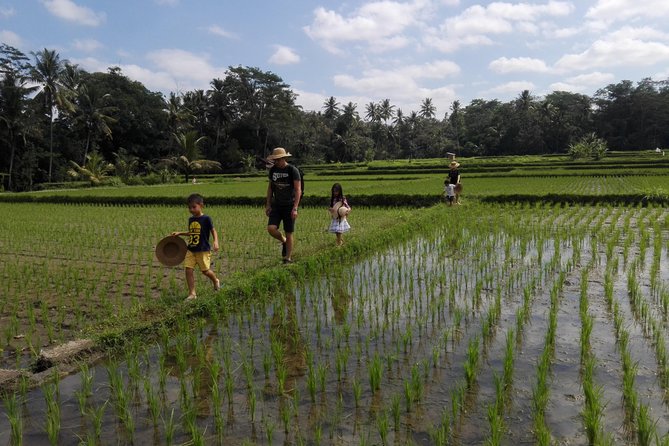 Balinese Cooking Class at Organic Farm - What You Cook: Six Balinese Dishes and a Drink Lineup