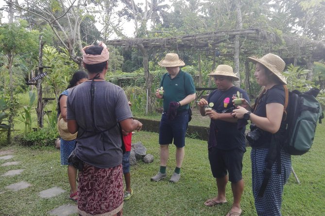 Balinese Cooking Class at Organic Farm - Lunch in a Gubuk Hut: Communal Eating With What You Made