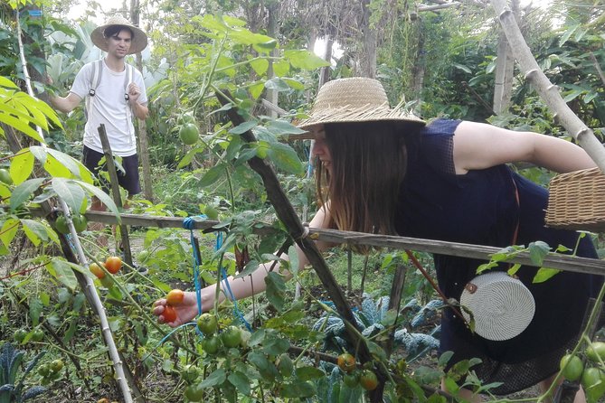 Balinese Cooking Class at Organic Farm - Who This Cooking Class Fits Best