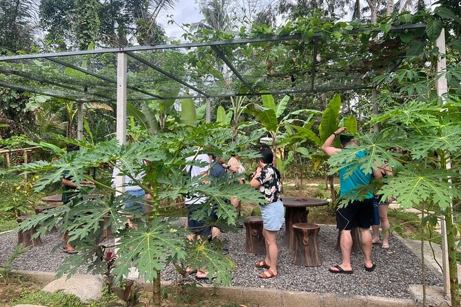 Balinese Cooking Class with Traditional Market Tour - The Five-Course Lunch Plus Dessert: Come Hungry