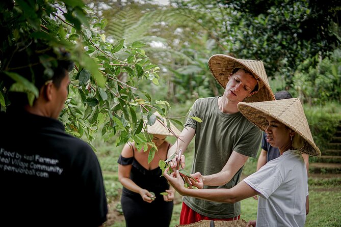 Balinese Farm Cooking Class by Pemulan Bali - From Central Ubud Pickup to the Market Stop: why the start matters