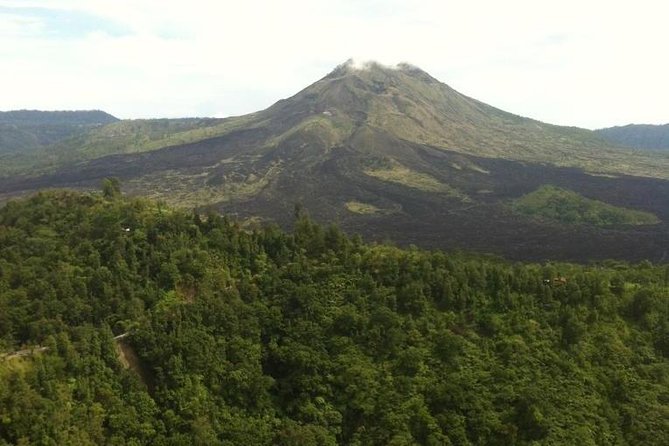 Balinese Life Style Tour - A Private Bali Day From Ubud That Feels Like Daily Life, Not a Checklist