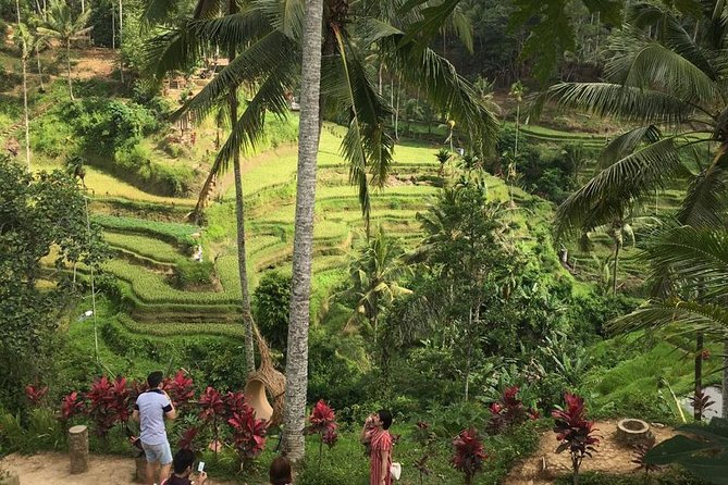 Balinese Life Style Tour - Stop 1: Tegalalang Rice Terrace for the Farming Views, Then Tirta Empul Purifying Holy Water