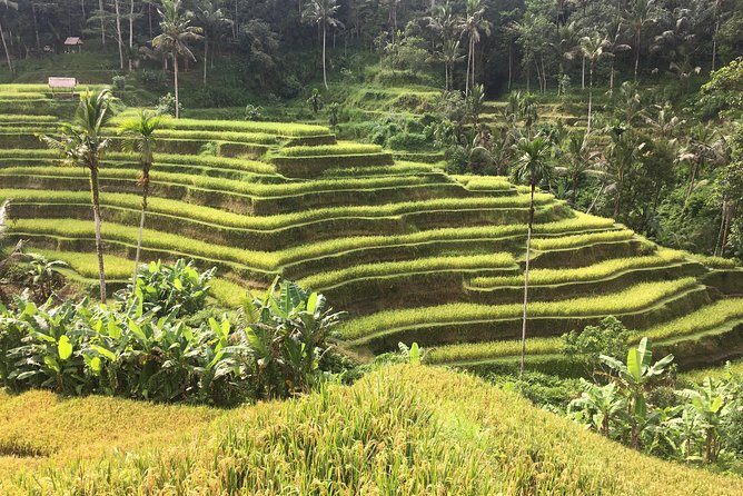 Balinese Life Style Tour - Stop 2: Gunung Kawi Sebatu Temple and the Idea of Purification in Place