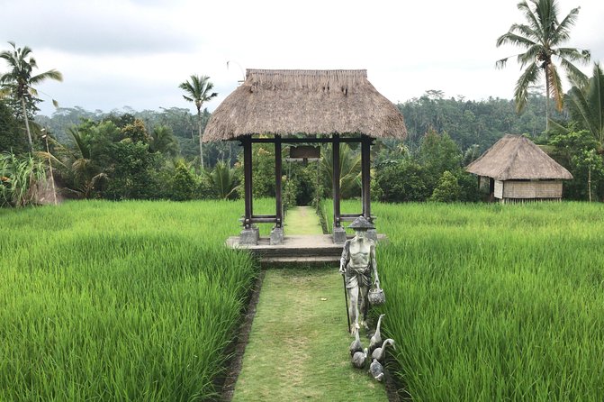 Balinese Life Style Tour - Stop 3: Kintamani and Mount Batur View for a Big-Scale Reset
