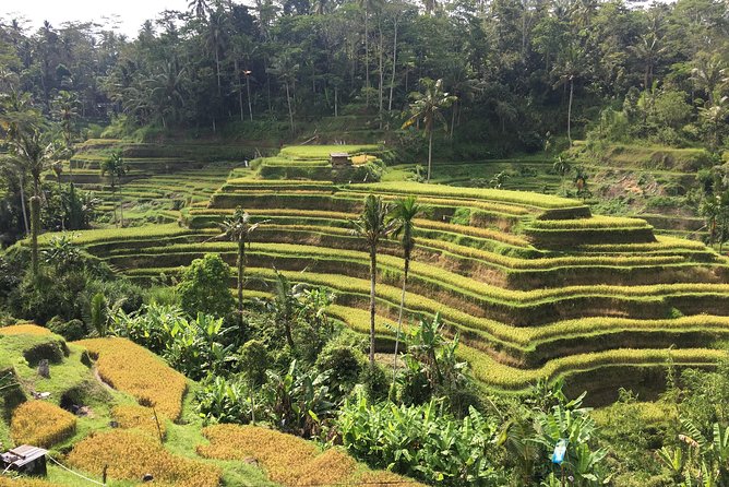 Balinese Life Style Tour - Your Guide: Why the Human Part Can Make This Tour