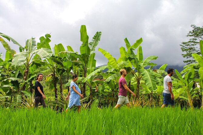 Balinese Vegan Cooking Class with Fresh Harvesting & Garden Tour - Cooking With Ancient Balinese Utensils and Traditional Methods