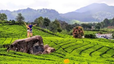 Kawah Putih,Volcano,HotSpring,Mud Bathing,Lake Tour