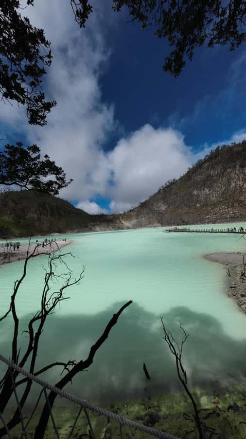 Bandung : White Crater, Tea Plantation Tour Guide Bandung - Who this Bandung tour suits best