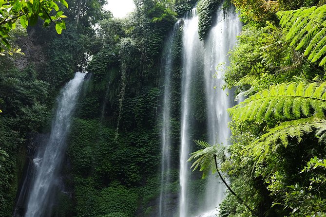 Banyuwana & Banyumala Waterfalls Tour Private - All-Inclusive - Morning photo stops: Kintamani Volcano and Tegalalang Rice Terrace