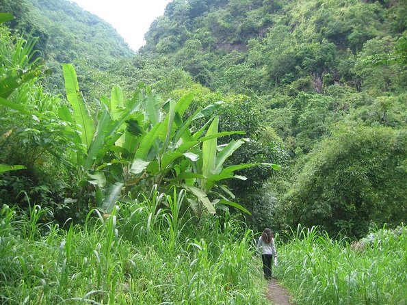 Batur Caldera Sunrise Trekking - Key Highlights at a Glance