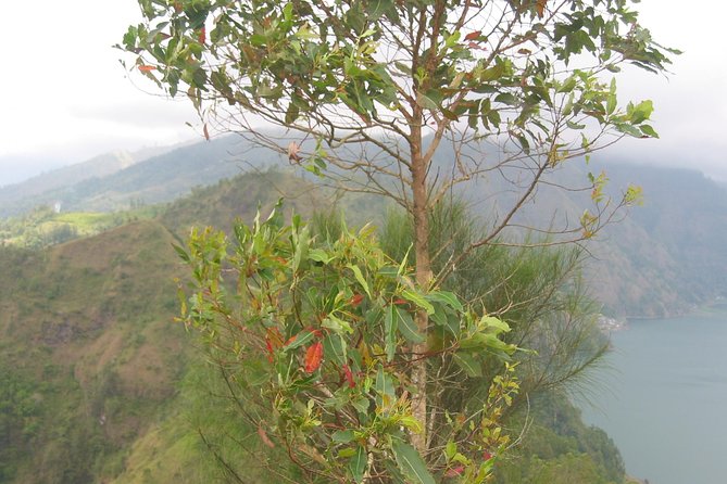 Batur Caldera Sunrise Trekking - The Caldera Wall Hike: What the Climb Feels Like