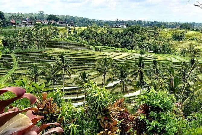 Beji Griya Waterfall Bali Spritual Holy Bath Experience - Who Should Book This and Who Might Want to Skip It
