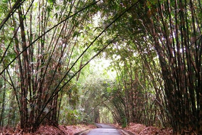 Besakih Temple Tour - Traditional Bali Village - All Inclusive - A temple, a cave waterfall, and a car-free village day