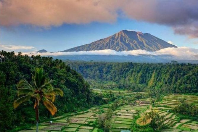 Best bali transport service - custom your own itinerary - How this private Bali day really works