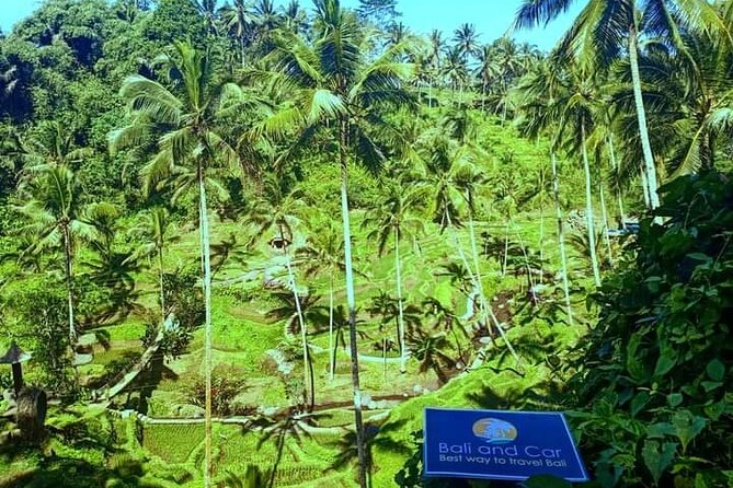Best bali transport service - custom your own itinerary - Vehicle size and luggage: when “up to 7” matters