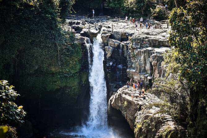 Best of Bali : Bali Temples , Rice Terrace and Waterfall Tour - A private loop through Bali’s water, temples, and rice hills