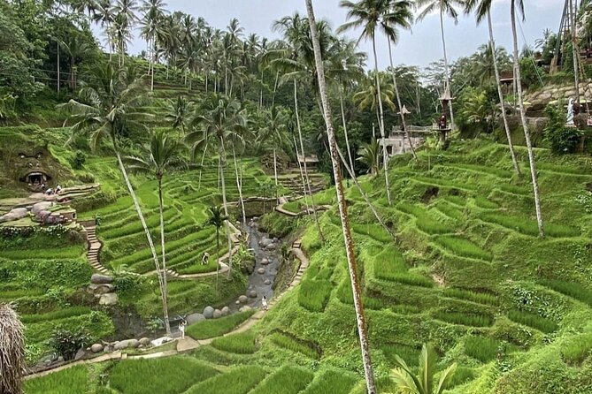 Best of Instagram Tour: Gate of Heaven, Tirta Gangga, Bali Swing - Aloha Ubud Swing: Jungle Swing Fun With Extra Photo Budget