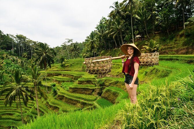 Best of Ubud 1-Day Private Tour - Your Day Starts at 8:30 AM, and the Private Car Is the Real Upgrade