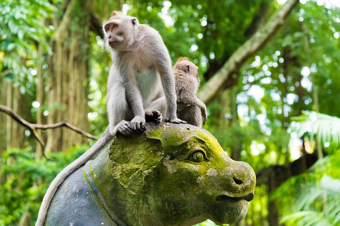 Best of Ubud Attractions: Private All-Inclusive Tour - Elephant Cave: Goa Gajah and that 11th-century temple feeling