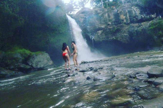 Best of Ubud Full Day Private Guided Tour - How South Bali Pickup Makes Ubud Feel Easier