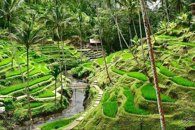 Best of Ubud Full Day Private Guided Tour - Happy Swing Bali and the Terrace River Pool Swing Moment