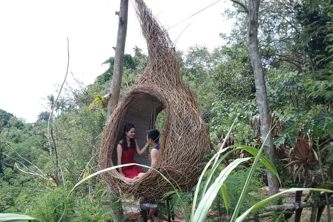 Best of Ubud Full Day Private Guided Tour - Tegalalang Rice Terrace: Views Plus a Lunch Pause