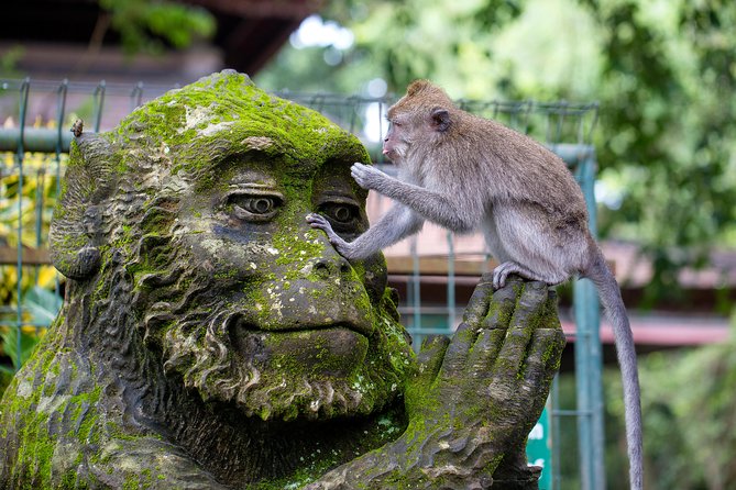Best of Ubud Full-Day Tour with Jungle Swing - Stop-by-stop Ubud day: Monkey Forest, terraces, swing, temples, waterfall