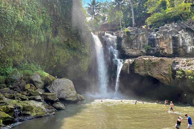 Best Of Ubud Half Day Private Guided Tour - Tegalalang rice terraces and the giant swing: where the photos actually happen