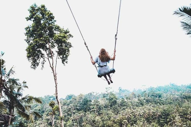Best of Ubud Private Tour with Jungle Swing Experience - A 7 to 8 Hour Ubud Route That Balances Views and Culture