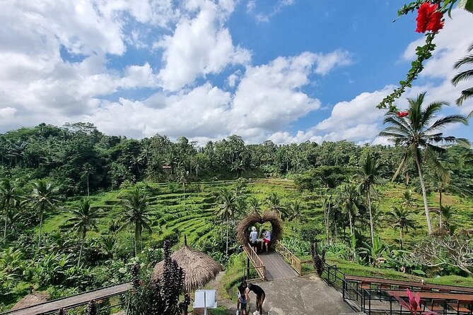 Best of Ubud Private Tour with Jungle Swing Experience - Tegenungan Waterfall: Green Scenery and a Swim Option