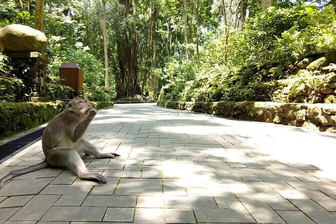 Best of Ubud Private Tour with Jungle Swing Experience - Ubud Palace, Monkey Forest, and the Art Market: Finishing With Local Texture