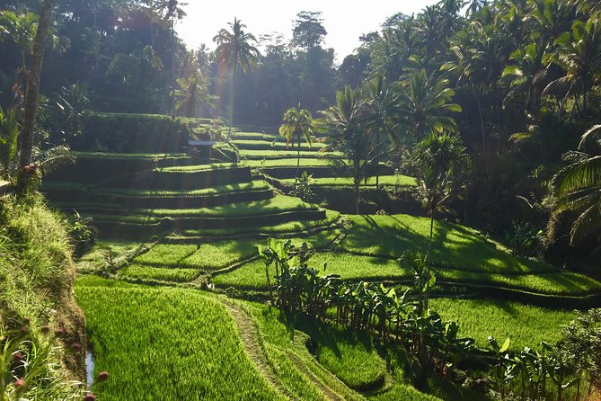 Best of Ubud Waterfalls, Tegalalang Rice Terrace and Swing Tour - Tukad Cepung Waterfall: The “Light Effects” Stop for Camera People