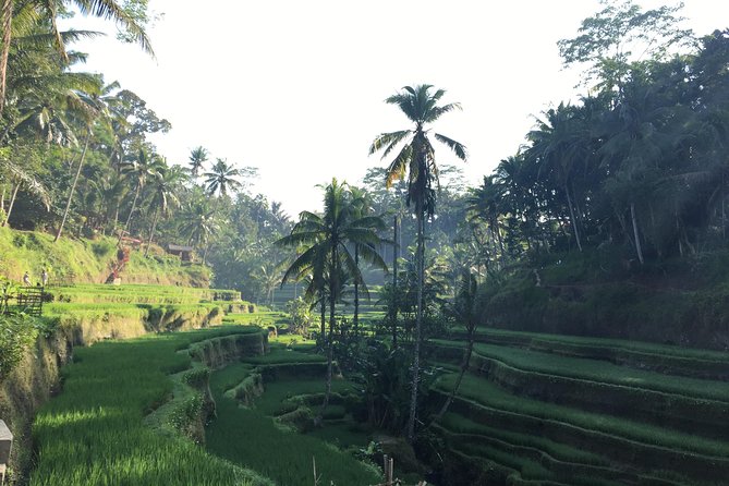 Best of Ubud Waterfalls, Tegalalang Rice Terrace and Swing Tour - Price and Logistics: What $29 Really Covers, and What to Plan For