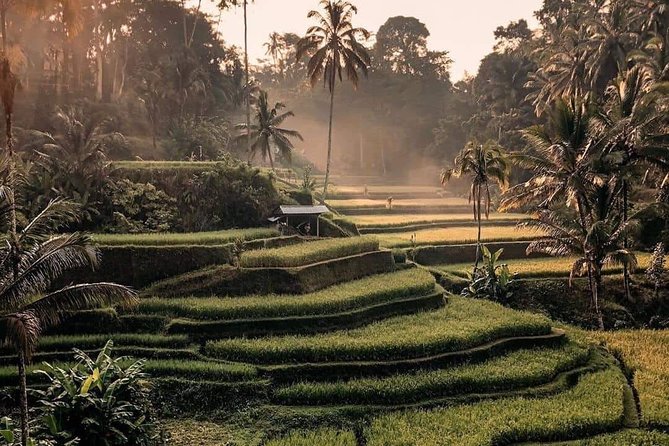 Best of Ubud Waterfalls, Tegalalang Rice Terrace and Swing Tour - Kanto Lampo Waterfall: Stepped Rock, Short Walk, Big Photo Potential