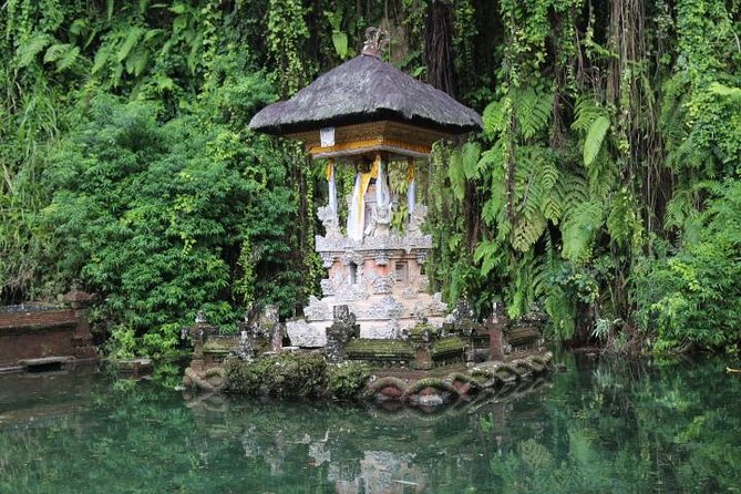 Best of Ubud with Jungle Swing Experience - Hotel Pickup, Air-Conditioned Transport, and a Real Itinerary Rhythm